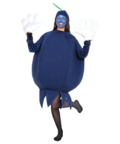 Peter Alan, Inc Women's Costumes Fruit (Blueberry) Adult Costume Size Standard