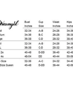 Dreamgirl Corrections Officer Women's Costume