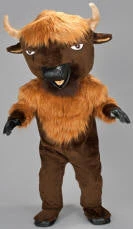Creative Costuming Buffalo Mascot Costume