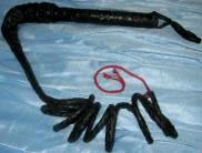 Creative Costuming Bull Whip 8' Armor & Weapons