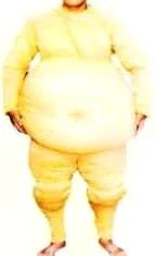 Creative Costuming Mascots Sumo Wrestler Costume
