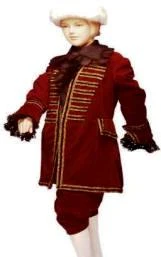 Creative Costuming Colonial Boy, Beethoven, Amadeus Mozart Or Pirate