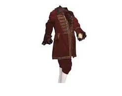 Creative Costuming Colonial Boy, Beethoven, Amadeus Mozart Or Pirate
