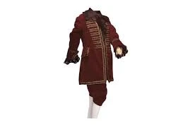 Creative Costuming Colonial Boy, Beethoven, Amadeus Mozart Or Pirate