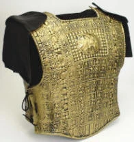 Creative Costuming Armor & Weapons Gold Armor Set W/Shoulder Fasteners