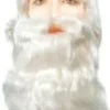 Creative Costuming Wigs & Facial Hair Santa Claus Wig & Beard Set CV3