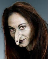 Creative Costuming Don Post Witch Nose - Large