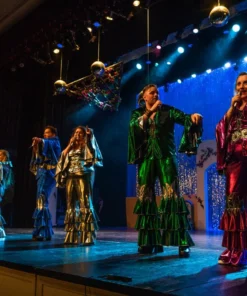 Tabi's Characters ABBA Mamma Mia 1970s Disco Men's Costume