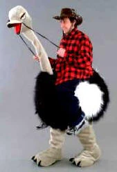 Creative Costuming Riding The Ostrich Mascot Costume Mascots