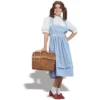 Creative Costuming Storybook Characters Dorothy Costume / Wizard Of Oz
