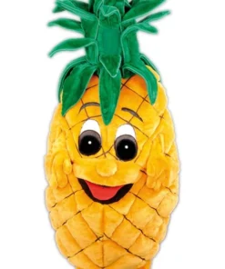 Creative Costuming Mascots Pineapple Pete Mascot Costume