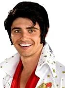 Creative Costuming Elvis Wig ELVIS!