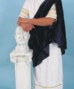 Creative Costuming Men's Costumes Roman Citizen / 3 Wisemen Costume