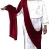 Creative Costuming Child Caesar Costume
