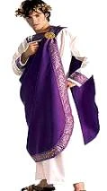 Creative Costuming Julius Caesar Costume Men's Costumes