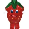Creative Costuming Strawberry Costume Mascot