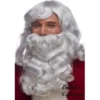 Creative Costuming Santa Claus Wig & Beard Set