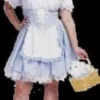 Creative Costuming Dorothy Costume Plus Size Plus Sizes