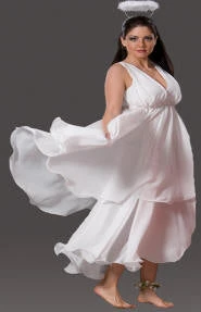 Creative Costuming Fairy Costume - Angelica