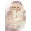 Creative Costuming Wigs & Facial Hair Santa Claus Yak Wig & Beard Set (Extra Full)
